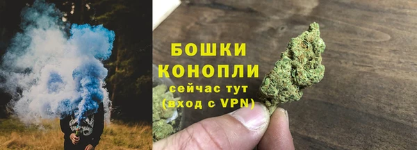спиды Ельня