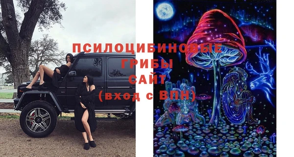 спиды Ельня