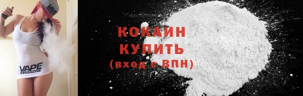 спиды Ельня