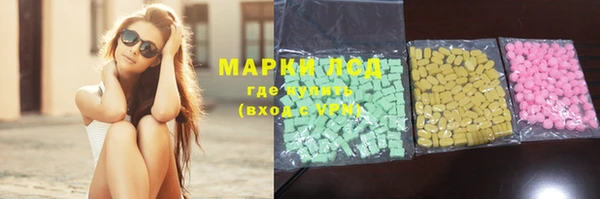 спиды Ельня