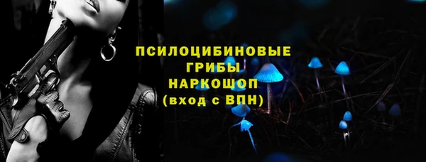 спиды Ельня