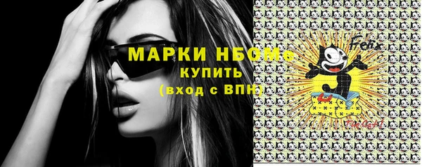 спиды Ельня