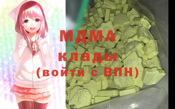 спиды Ельня