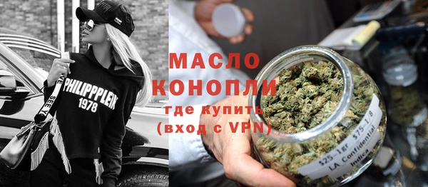 спиды Ельня