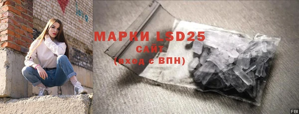 спиды Ельня