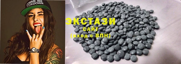 спиды Ельня