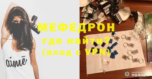 спиды Ельня